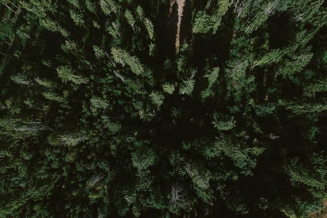 How To Write Evergreen Content That Grows Your Audience